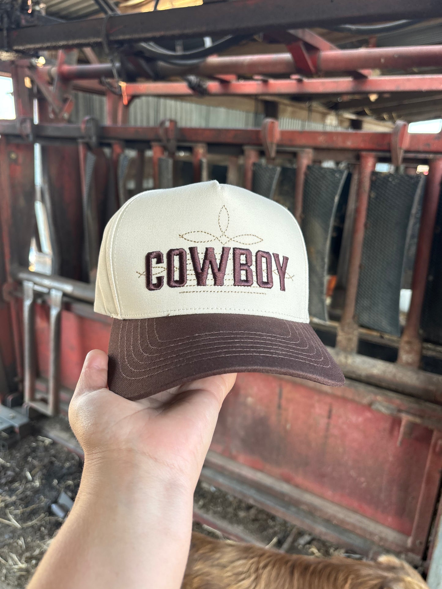 Cowboy hat